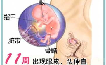 2026多囊备孕指南：服用达英35会发胖吗？揭秘其在代生代怀疗程中的关键作用