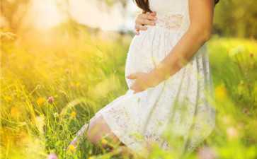 2026女性黄金生育期深度解析：科学备孕与辅助生殖策略指导