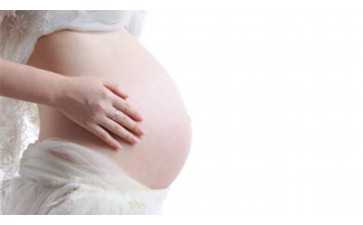 2026年提升胚胎质量的科学策略：助力辅助生殖与代怀成功关键