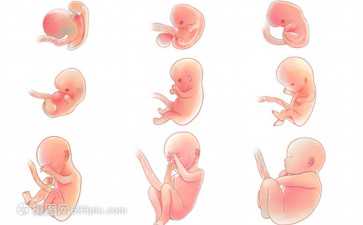 2026分娩安全手册：从女星产后大出血惊魂，看辅助生殖与代怀家庭的风险防控