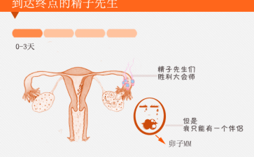 试管婴儿临床流程全解析：从促排卵到胚胎移植的标准化步骤
