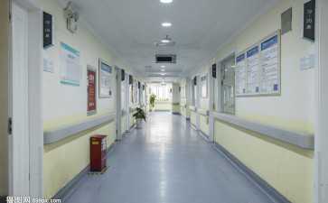 人造子宫技术深度解析：未来辅助生殖能否替代传统代怀妊娠过程？